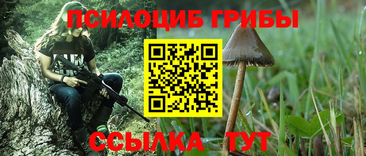 Псилоцибиновые грибы Psilocybe  Псилоцибиновые грибы прущие грибы  Вход с VPN  Богородск 
